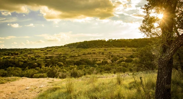 20 Incredible Day Trips from Austin, Texas