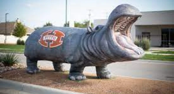 Moving to Hutto, TX: A 2023 Relocation Guide