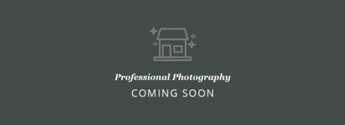 professional-1